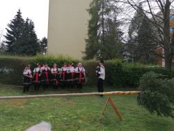 IMG_20210429_152952