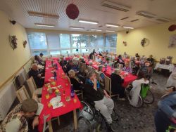 Rsz 1img 20230221 152415