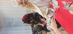 Mikuláš v chmelinci - IMG_20231206_080308