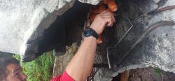 Opekanie v nimnici - IMG_20230726_094136