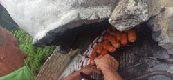 Opekanie v nimnici - IMG_20230726_094139