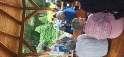 Opekanie v nimnici - IMG_20230726_094730