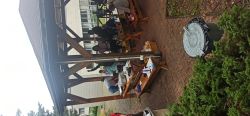Opekanie v nimnici - IMG_20230726_101409