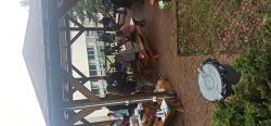 Opekanie v nimnici - IMG_20230726_101411
