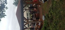 Opekanie v nimnici - IMG_20230726_101607