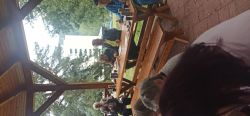 Opekanie v nimnici - IMG_20230726_105106