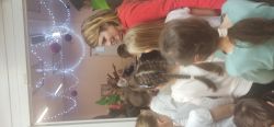 IMG_20231221_100253
