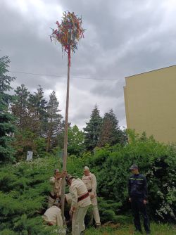 WhatsApp Image 2024-05-02 at 17.17.13 (3)