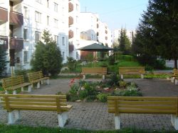 Foto 10