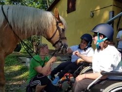 Hipoterapia v Dolnom Lieskove