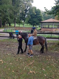 Hipoterapia v dolnom lieskove 2 - Whatsapp image 2024-09-11 at 09.41.17