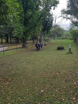 Hipoterapia v dolnom lieskove 2 - Whatsapp image 2024-09-11 at 09.41.18 1 