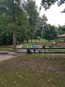 Hipoterapia v dolnom lieskove 2 - Whatsapp image 2024-09-11 at 09.41.19 1 