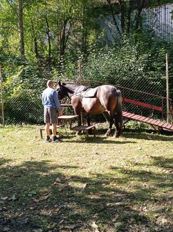 Hipoterapia v dolnom lieskove 2 - Whatsapp image 2024-09-11 at 10.30.29 5 