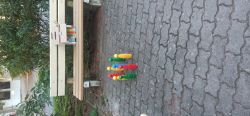 IMG_20240814_080038