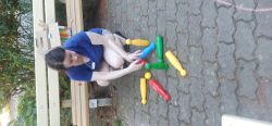 IMG_20240814_085454