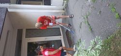 IMG_20240814_085852