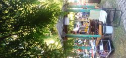 IMG_20240814_093530