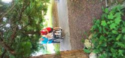 IMG_20240814_093601