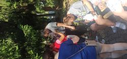 IMG_20240814_094938